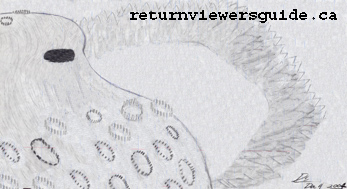 The object. Pick any ancient name that you want. "Adoil," causes the sight of the ancient valley. The ancient valley is the changed and lasting light from the Moon. www.returnviewersguide.ca